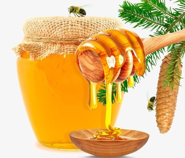 Honey Jars 500ml
